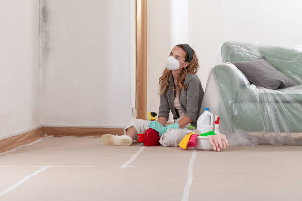 Reliable Mold Cleanup contractor in Houston, TX by Cheap Mold Removal